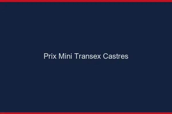 Prix Mini Transex Castres