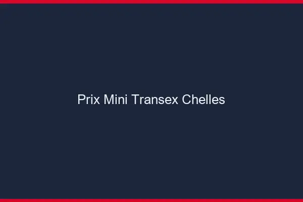 Prix Mini Transex Chelles