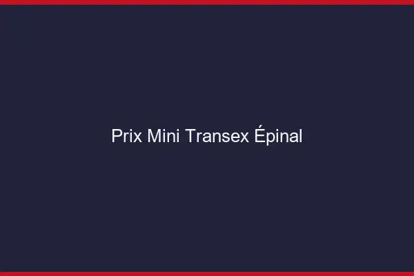 Prix Mini Transex Épinal