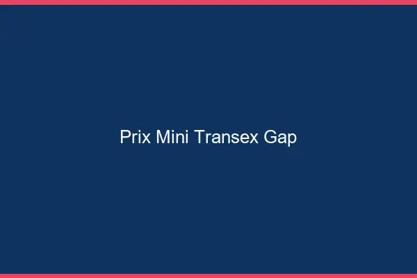 Prix Mini Transex Gap