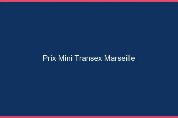 Prix Mini Transex Marseille