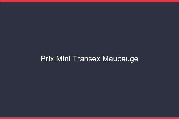 Prix Mini Transex Maubeuge