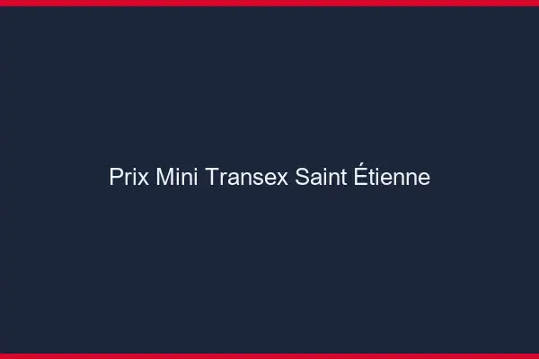 Prix Mini Transex Saint-Étienne