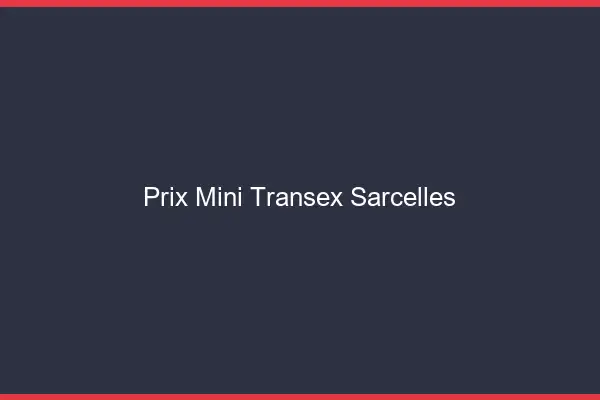 Prix Mini Transex Sarcelles