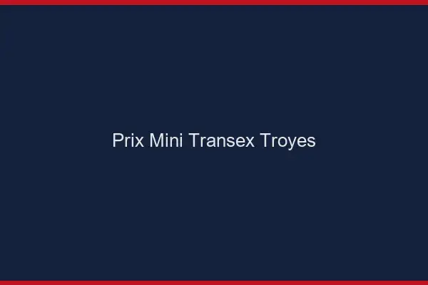 Prix Mini Transex Troyes