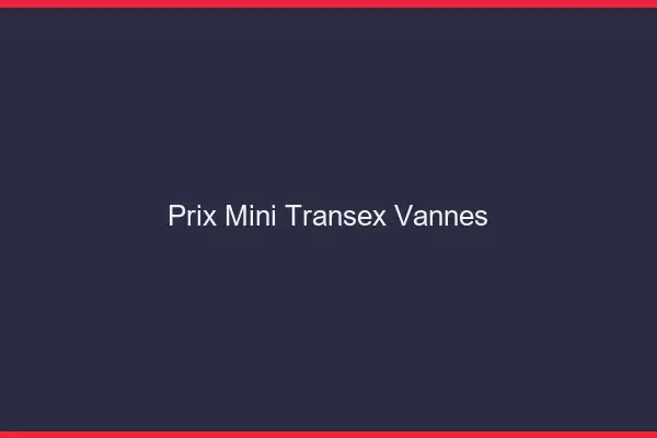 Prix Mini Transex Vannes