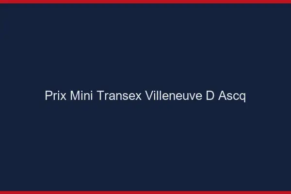 Prix Mini Transex Villeneuve-d'Ascq