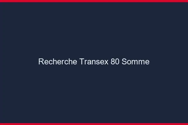 Recherche Transex 80 Somme
