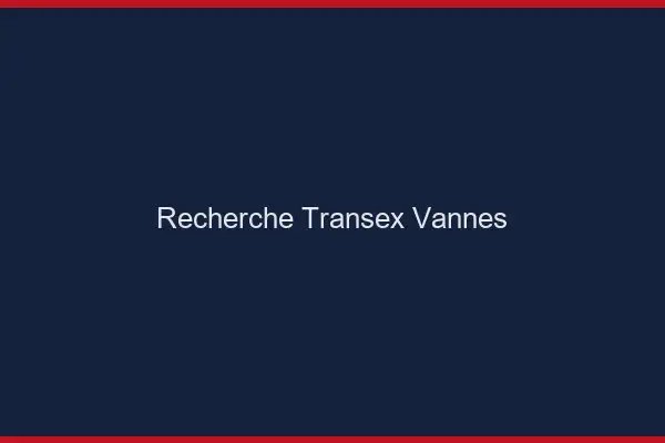 Recherche Transex Vannes