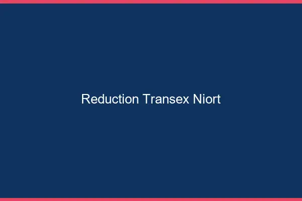 Réduction Transex Niort