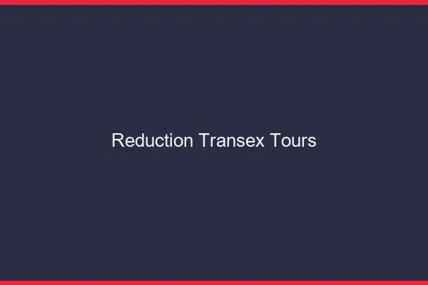 Réduction Transex Tours