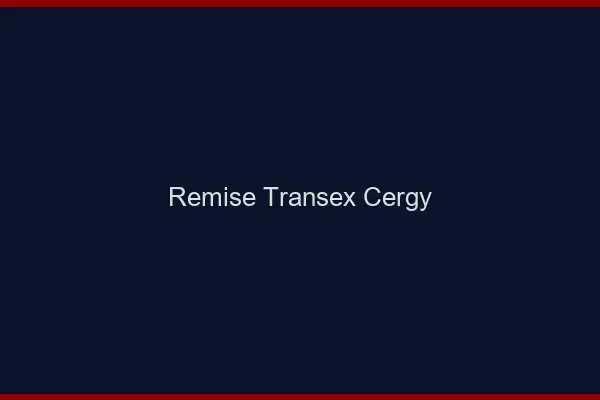 Remise Transex Cergy