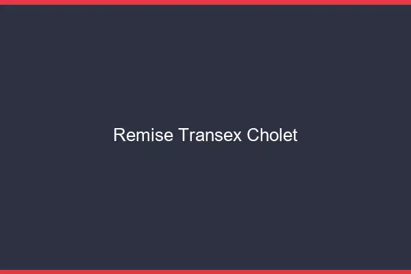 Remise Transex Cholet