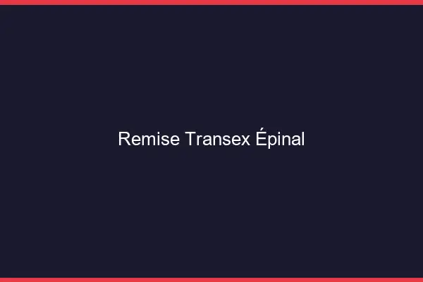 Remise Transex Épinal