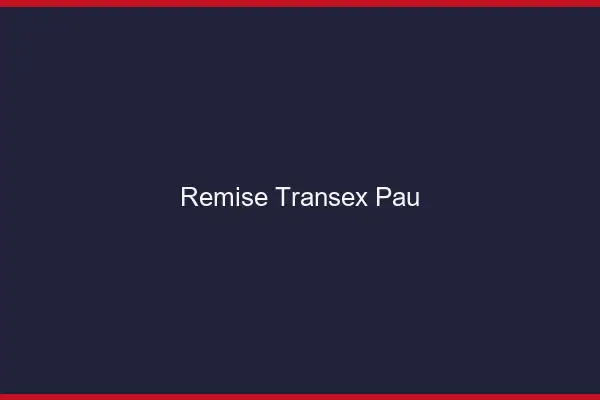 Remise Transex Pau