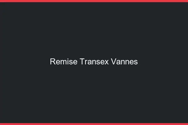 Remise Transex Vannes