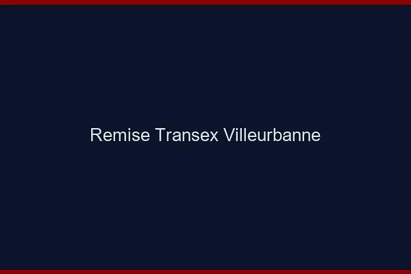 Remise Transex Villeurbanne