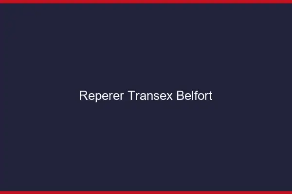 Repérer Transex Belfort