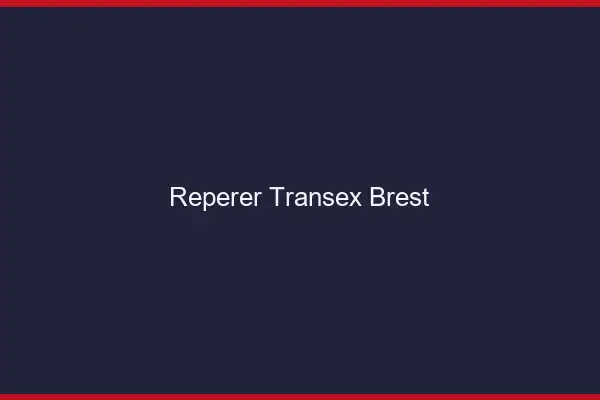 Repérer Transex Brest