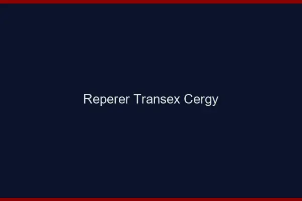 Repérer Transex Cergy