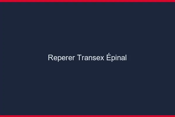 Repérer Transex Épinal