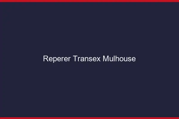 Repérer Transex Mulhouse