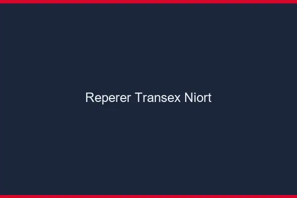 Repérer Transex Niort