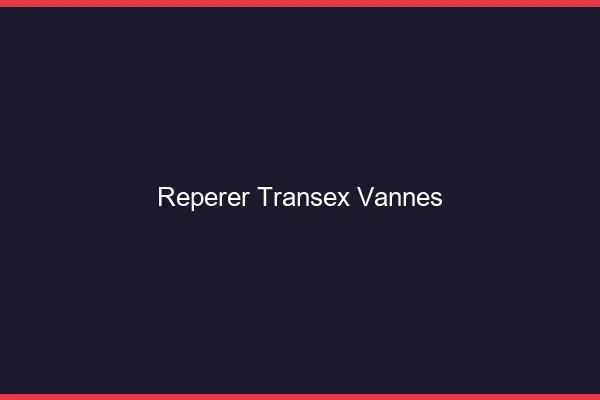Repérer Transex Vannes