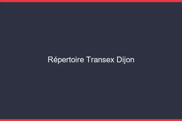 Répertoire Transex Dijon
