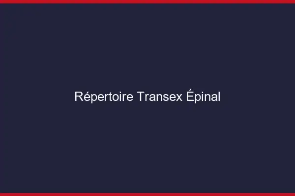 Répertoire Transex Épinal