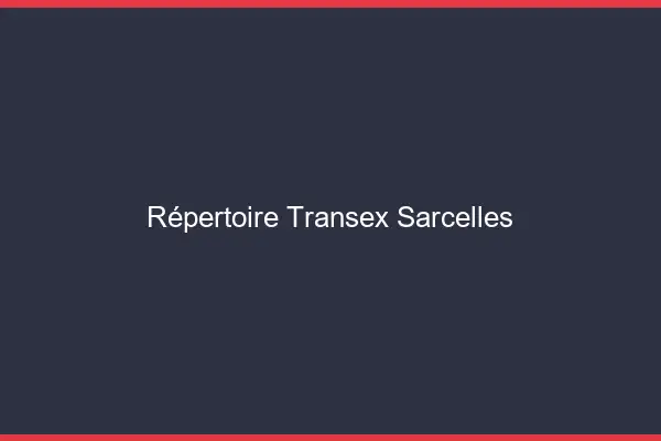 Répertoire Transex Sarcelles