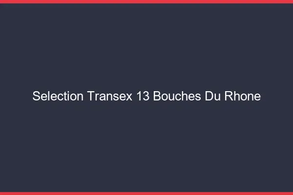 Sélection Transex 13 Bouches Du Rhone