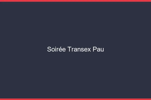 Soirée Transex Pau