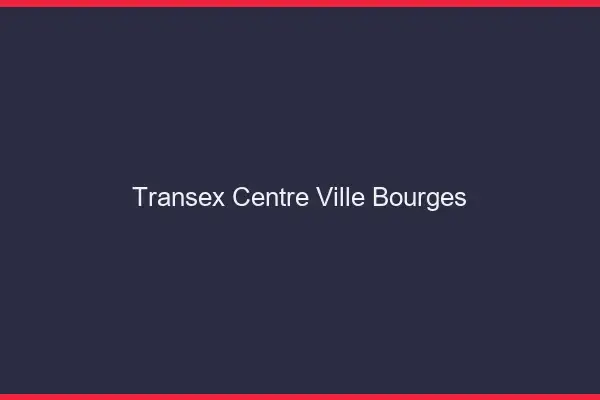 Transex Centre-Ville Bourges