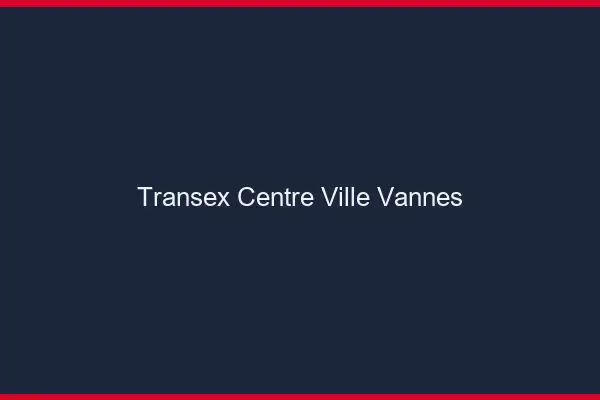 Transex Centre-Ville Vannes
