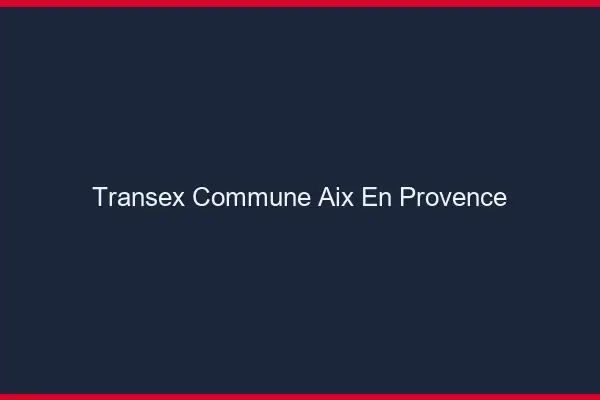Transex Commune Aix-en-Provence
