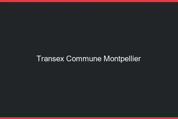 Transex Commune Montpellier