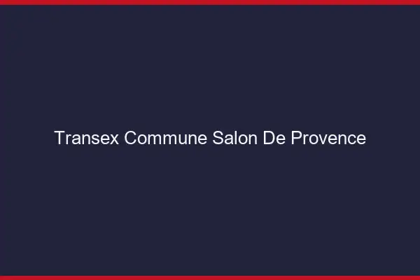 Transex Commune Salon-de-Provence