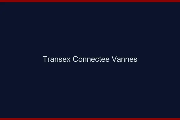 Transex Connectée Vannes