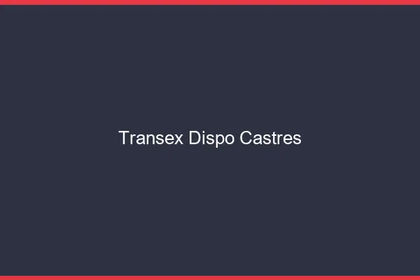 Transex Dispo Castres