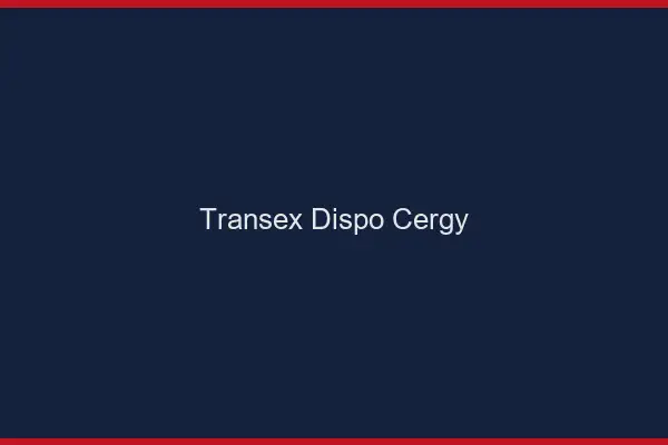 Transex Dispo Cergy