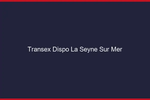 Transex Dispo La Seyne-sur-Mer