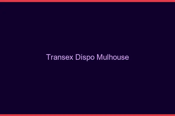 Transex Dispo Mulhouse