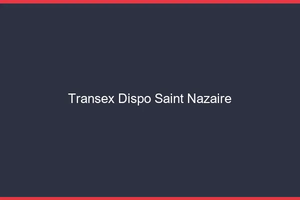 Transex Dispo Saint-Nazaire