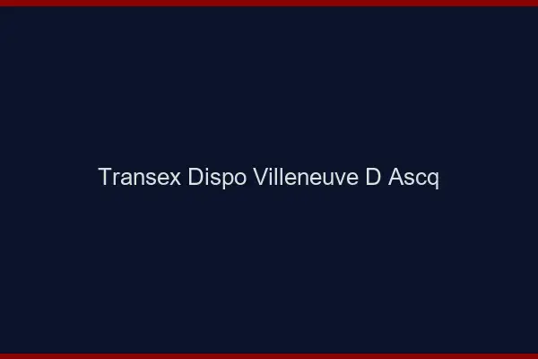 Transex Dispo Villeneuve-d'Ascq