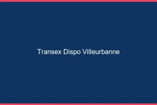 Transex Dispo Villeurbanne