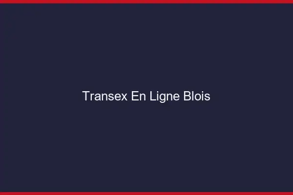 Transex En Ligne Blois