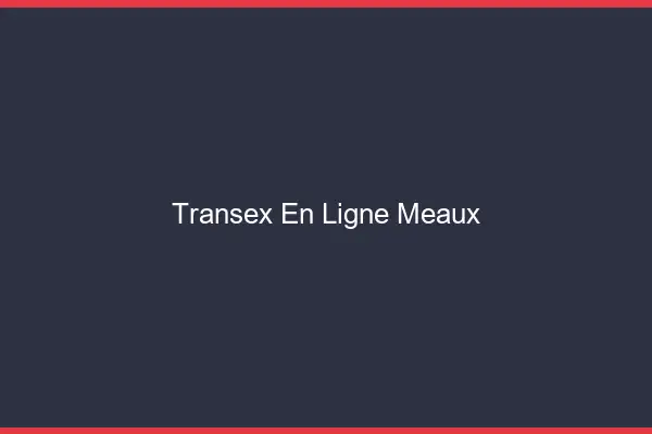 Transex En Ligne Meaux