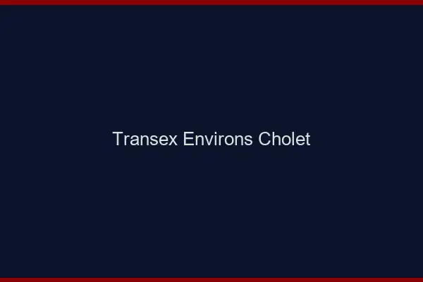 Transex Environs Cholet