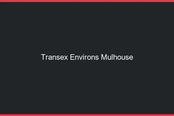 Transex Environs Mulhouse